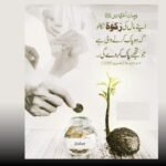 زکوۃ کا نصاب