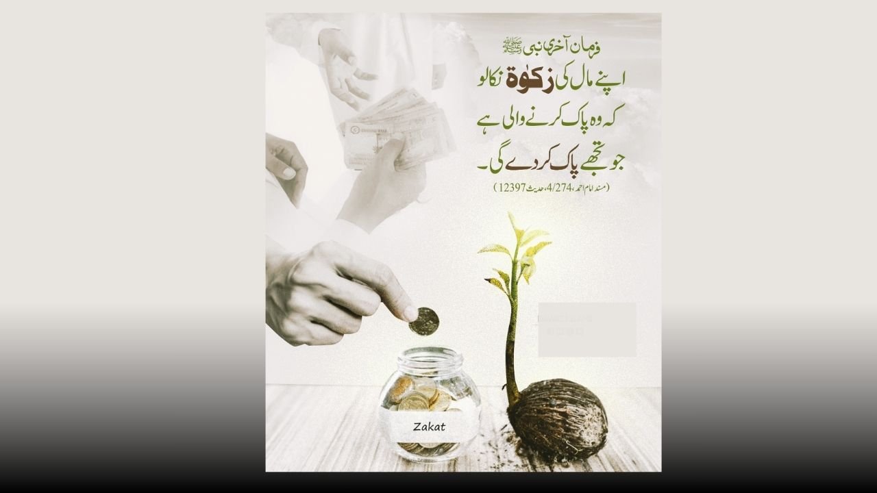 زکوۃ کا نصاب