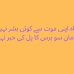 سامان سو برس کا ہے پل بھر کی خبر نہیں 