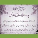 درخت لگانا رحمت الہی اور صدقہ جاریہ کا ذریعہ ہے