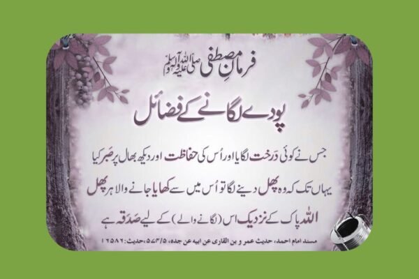 درخت لگانا رحمت الہی اور صدقہ جاریہ کا ذریعہ ہے