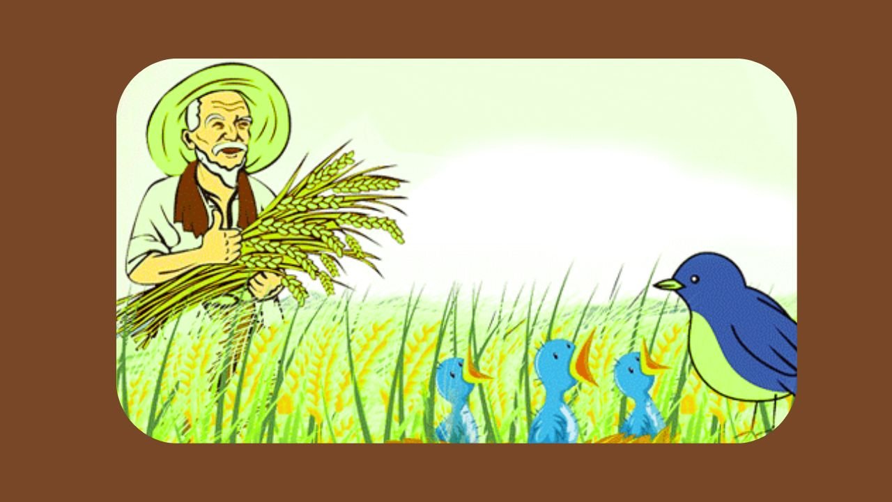  عقلمند چڑیا اور لالچی کسان