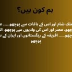 ہم کون ہیں؟
