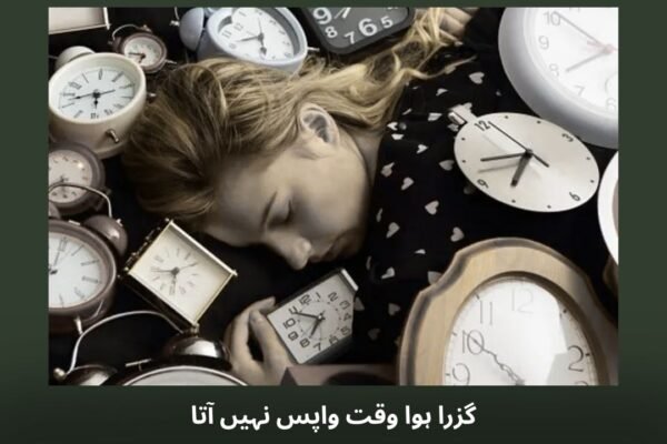 گزرا ہوا وقت واپس نہیں آتا