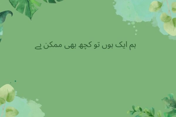  ہم ایک ہوں تو کچھ بھی ممکن ہے