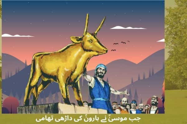 جب موسیٰؑ نے ہارونؑ کی داڑھی تھامی