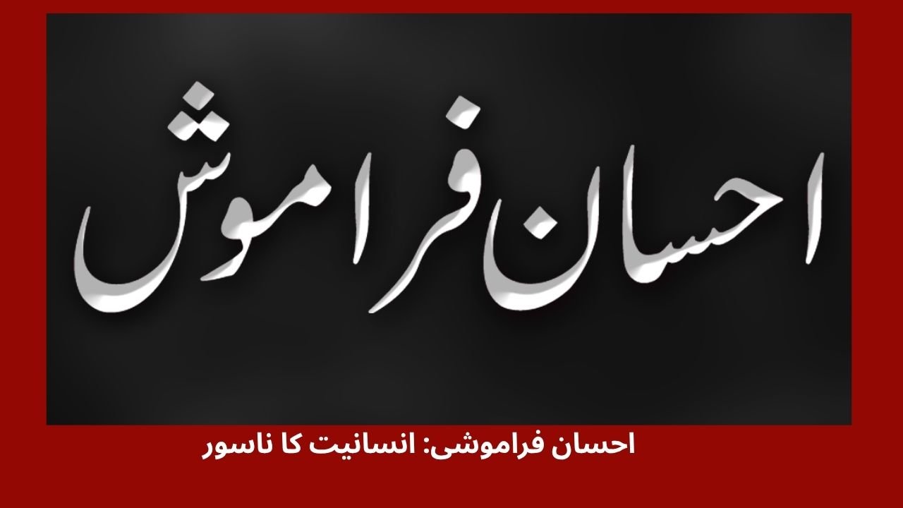 احسان فراموشی: انسانیت کا ناسور