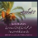 سچے مومن کی پہچان