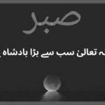  بادشاہ کا صبر