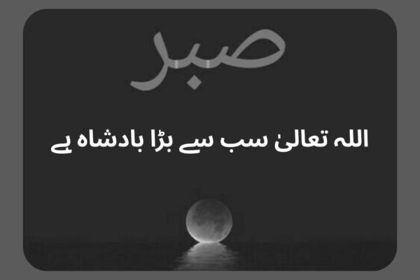  بادشاہ کا صبر