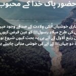 حضور پاک خدا کے محبوب ہیں