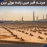 مردے قبر میں زندہ ہوتے ہیں