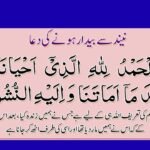 نیند کے حیرت انگیز راز- اور اللہ تعالیٰ کی قدرت
